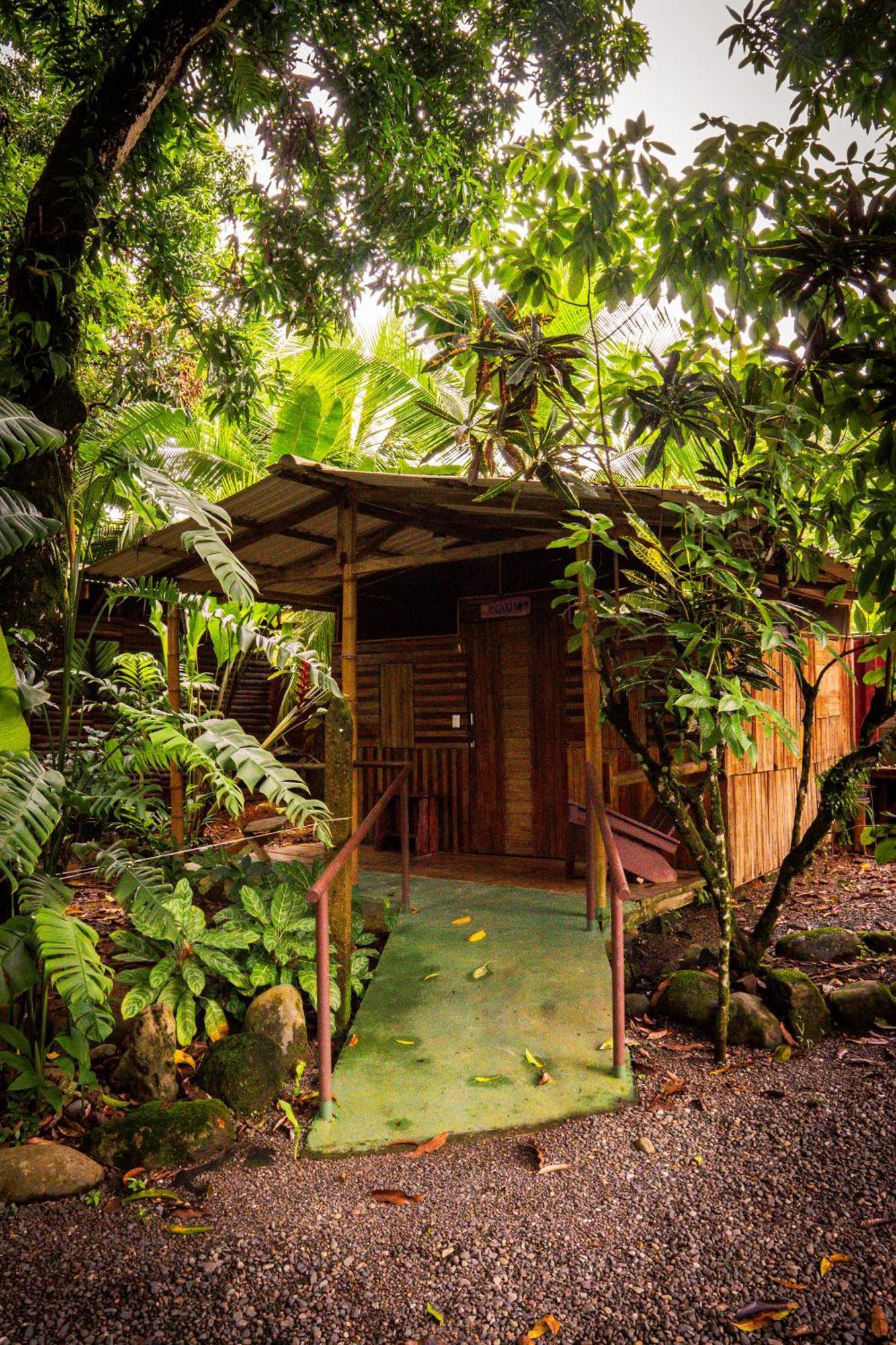 Flutterby House Hostel Uvita