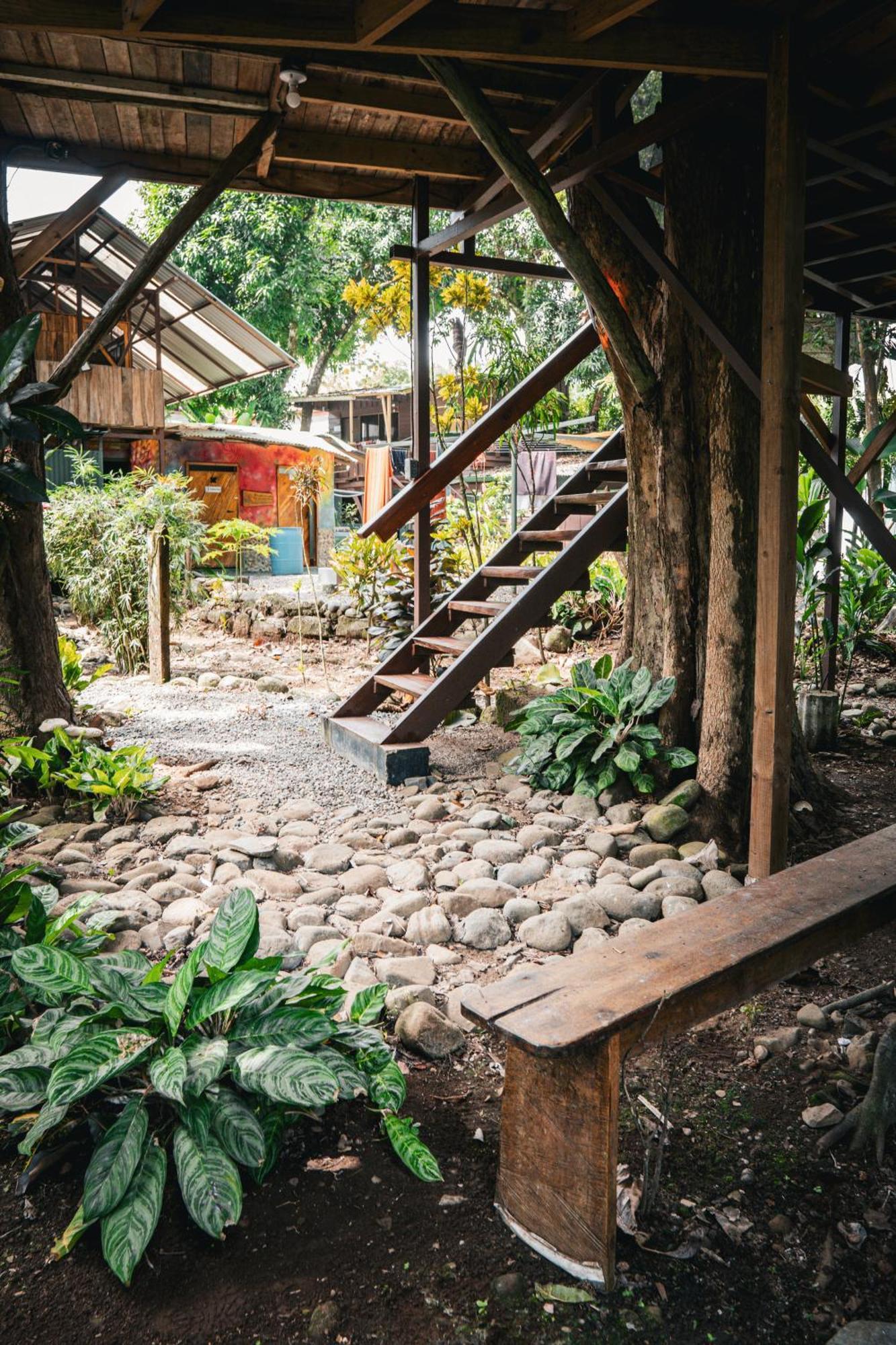 Hostel Flutterby House Uvita
