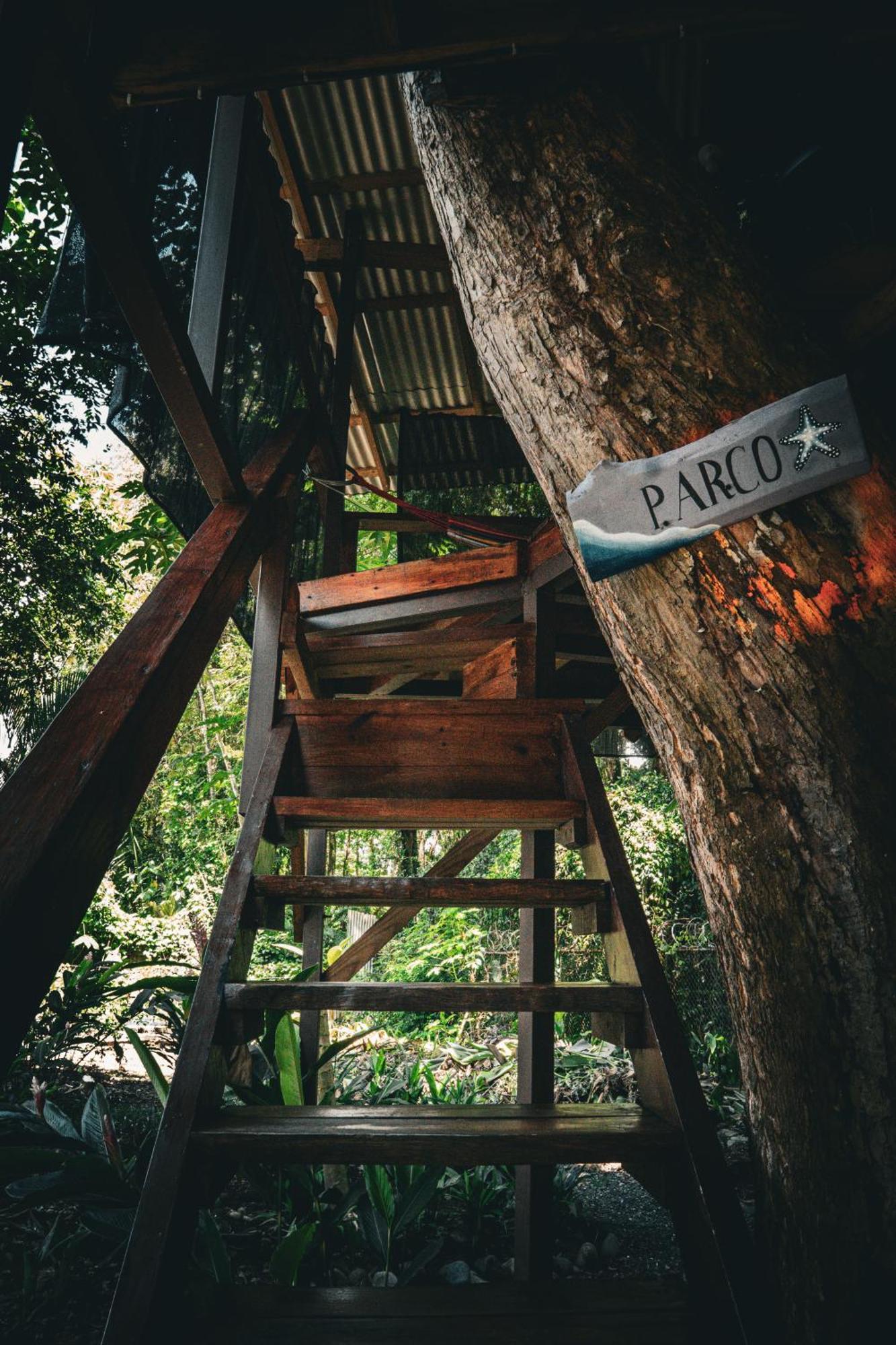 Flutterby House *