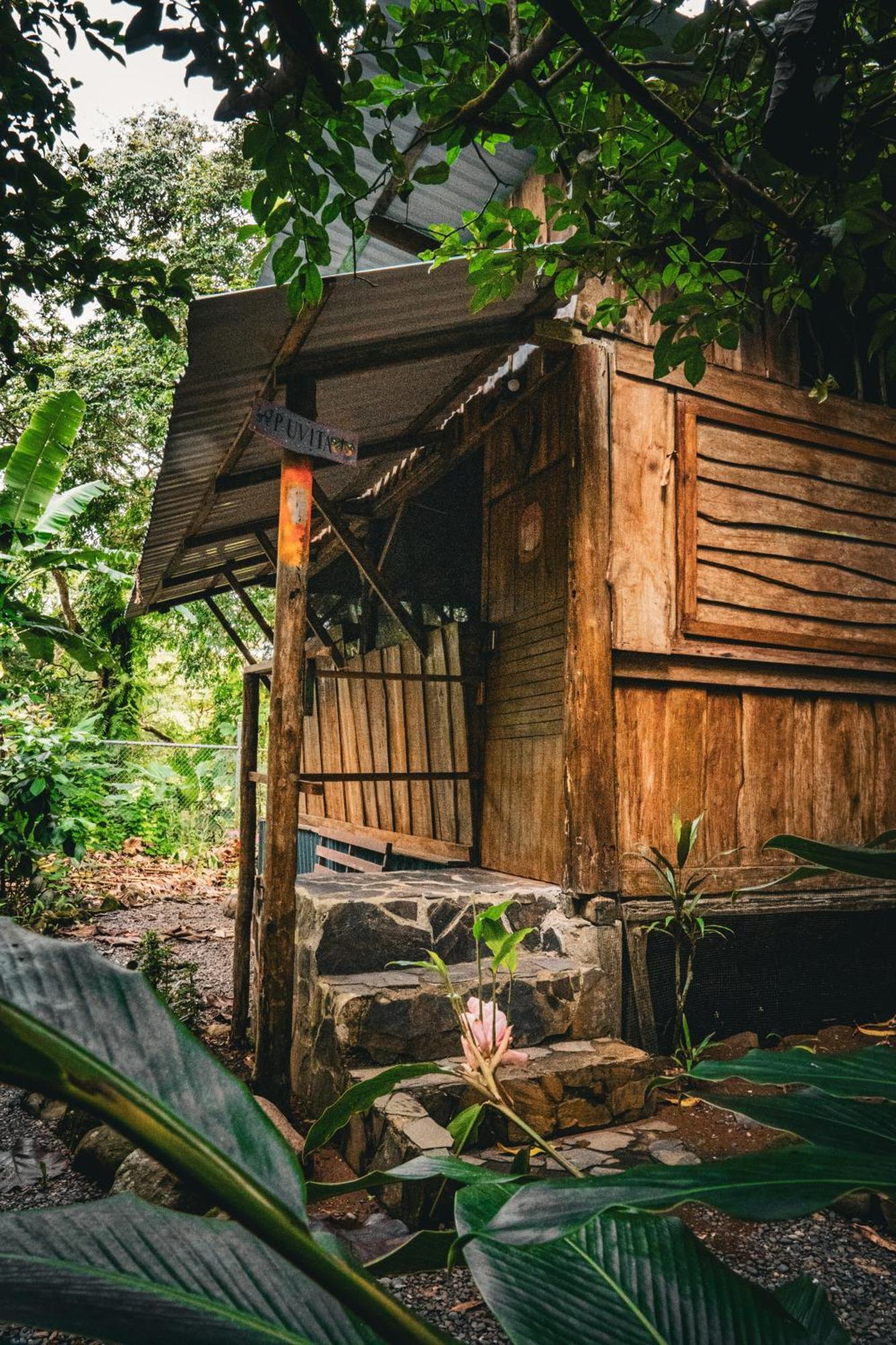 Flutterby House Hostel *