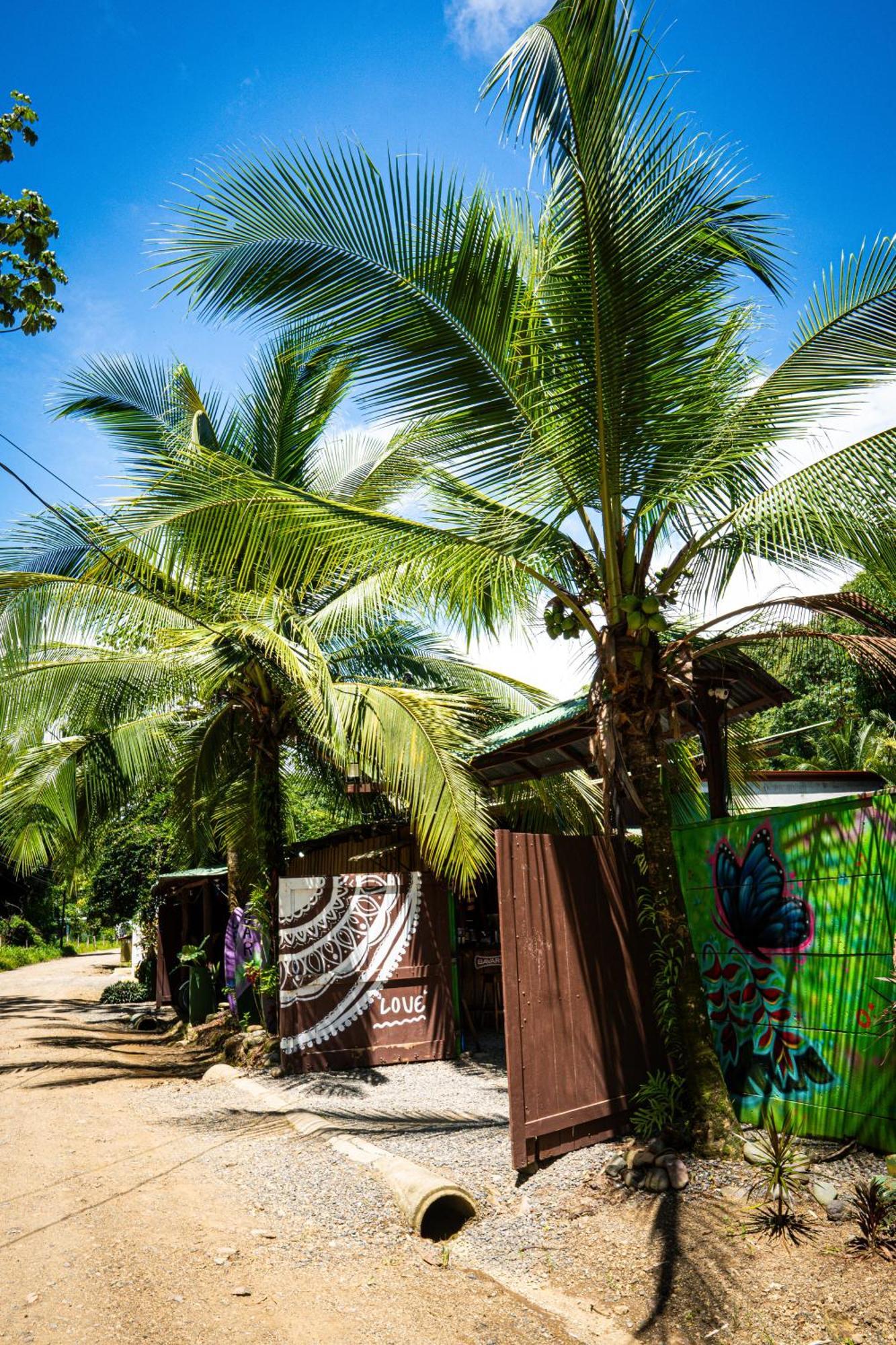 Flutterby House Uvita