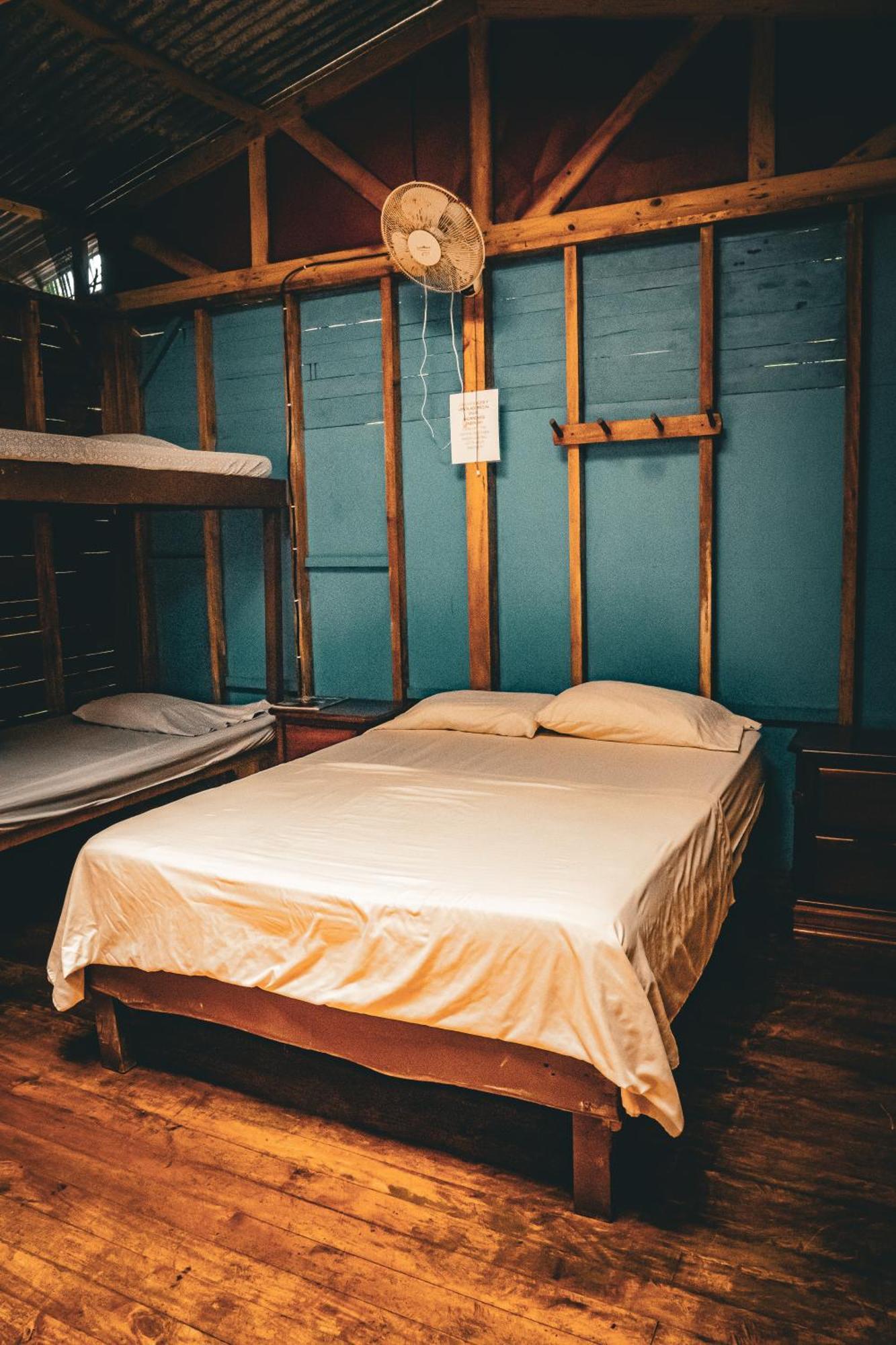 Flutterby House Hostal *