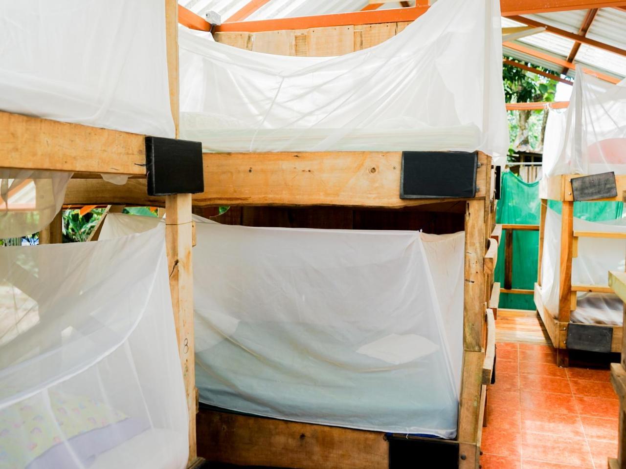 Hostel Flutterby House *