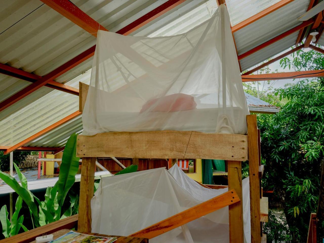 Hostel Flutterby House