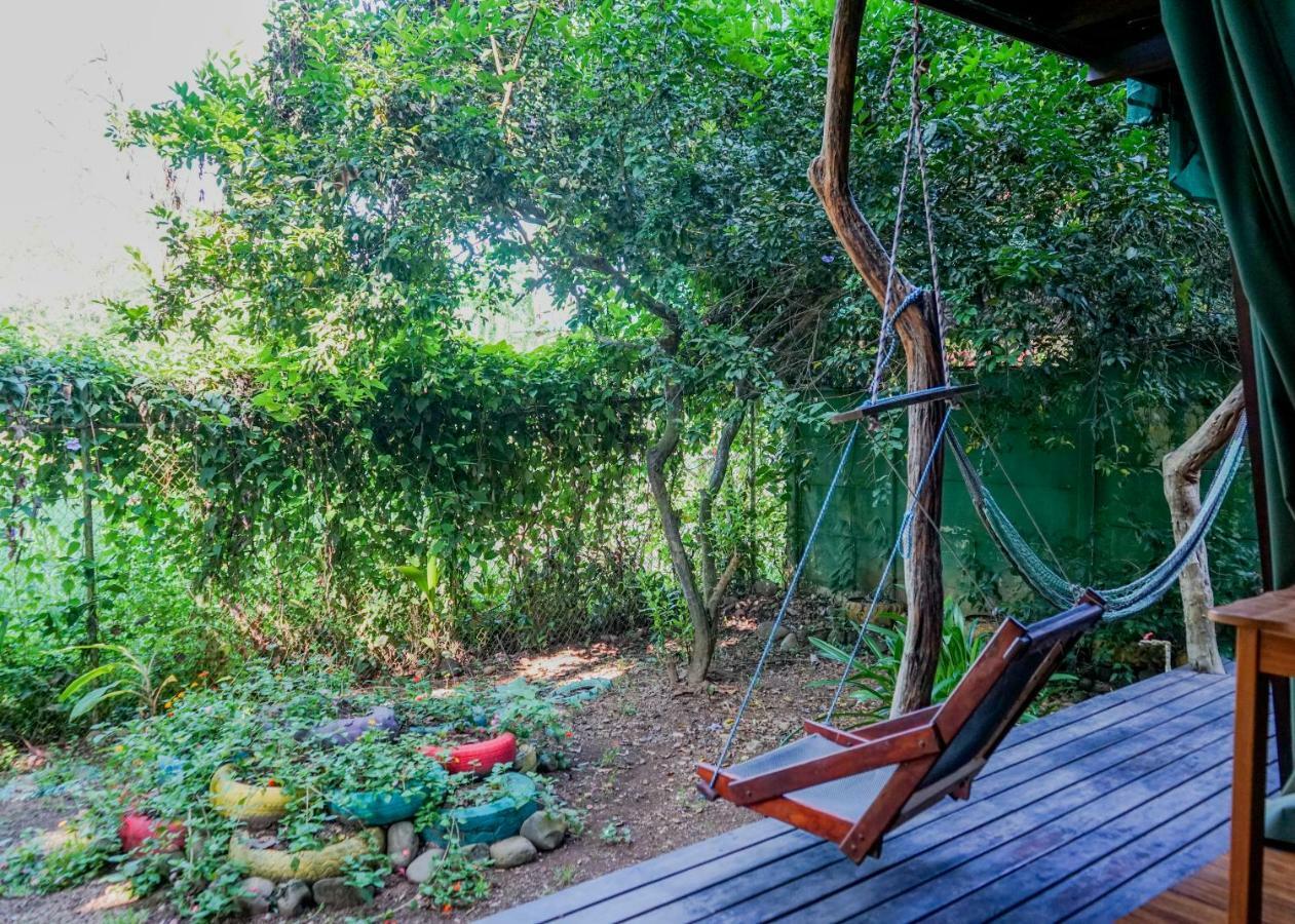 Flutterby House Hostel Uvita