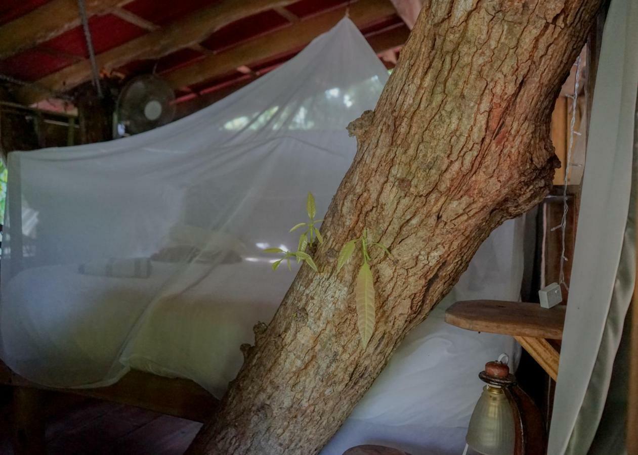 Hostel Flutterby House