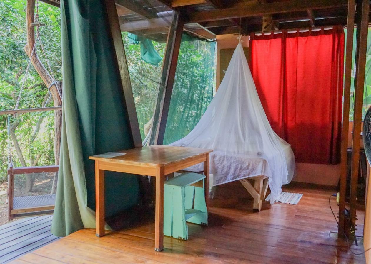 Flutterby House Hostel