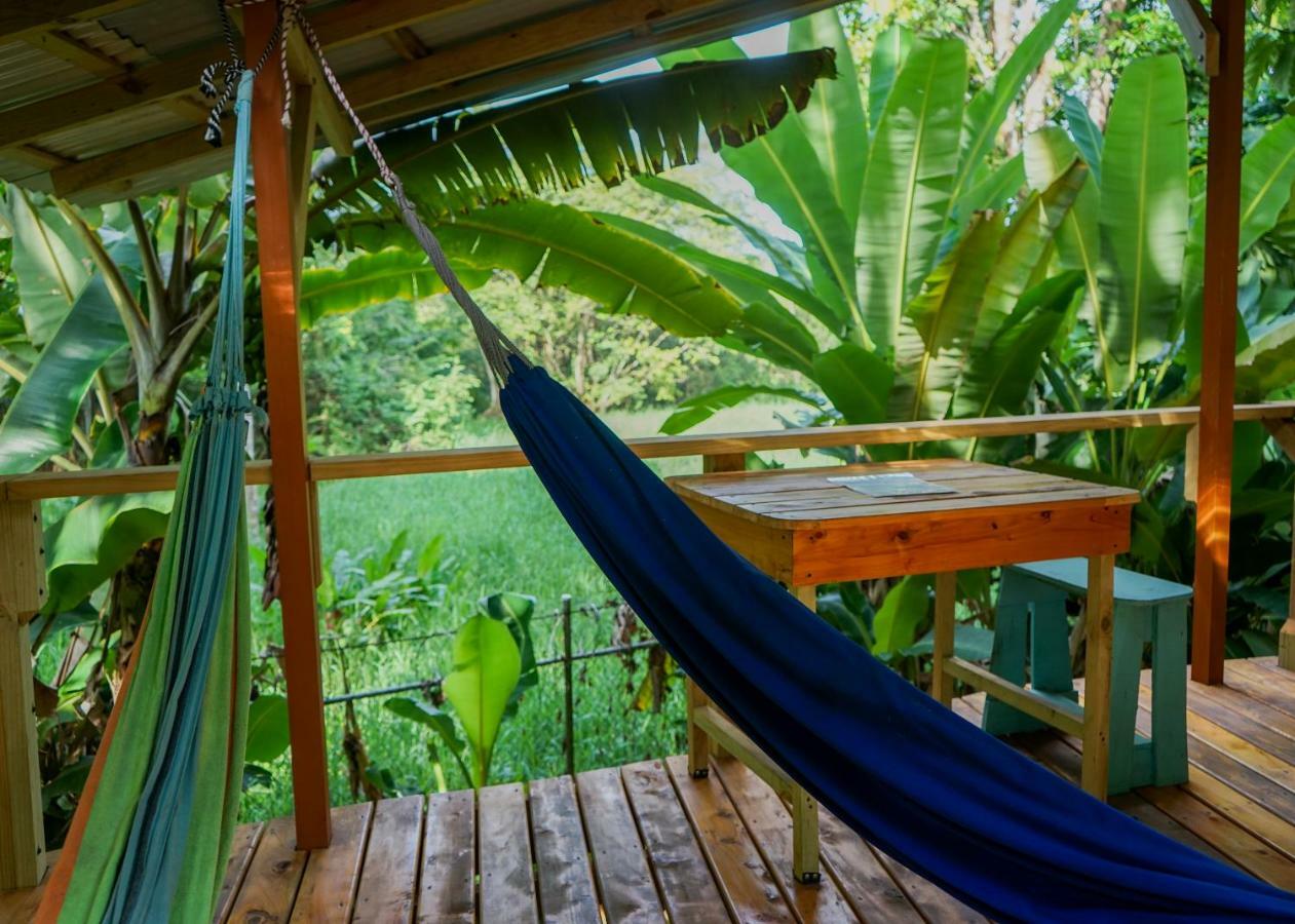 Flutterby House Uvita