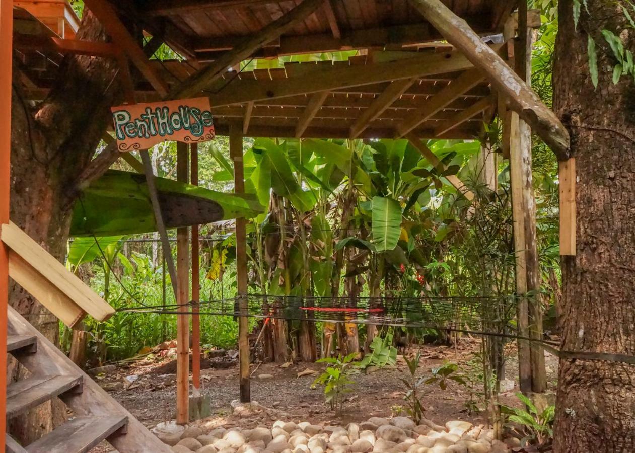 Hostel Flutterby House